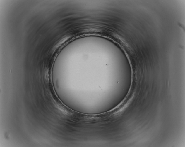 X0000097861113200803140850