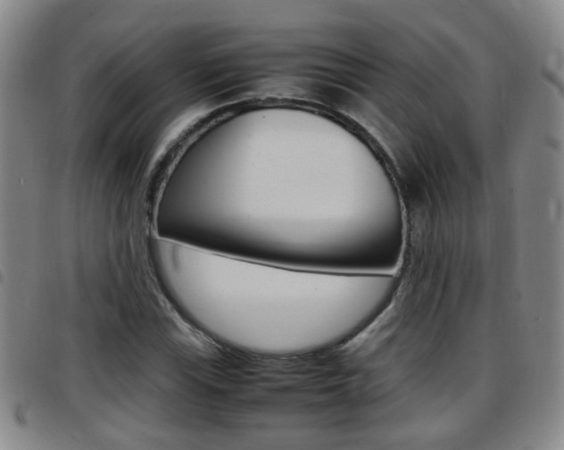X0000097861115200803140850