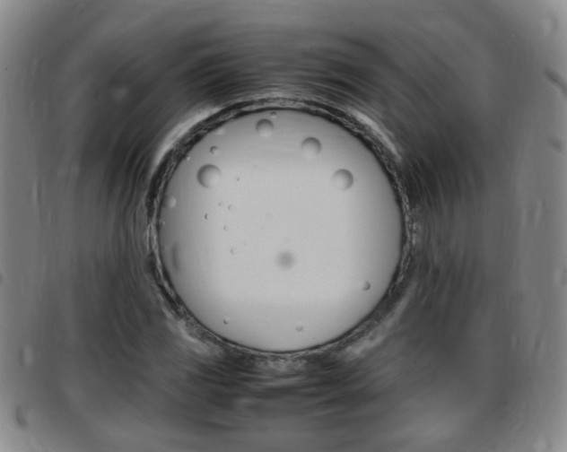 X0000097861117200803140850