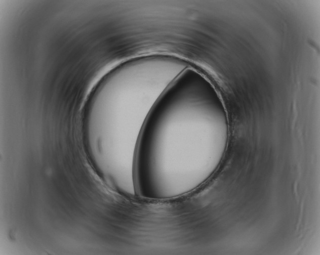 X0000097861118200803140850