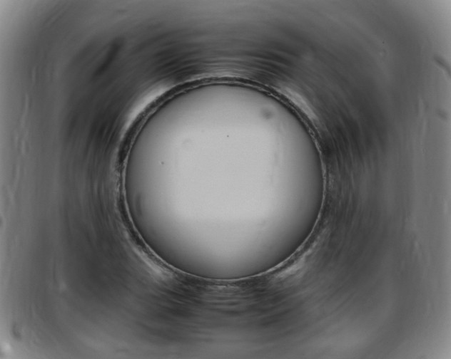 X0000097861119200803140850