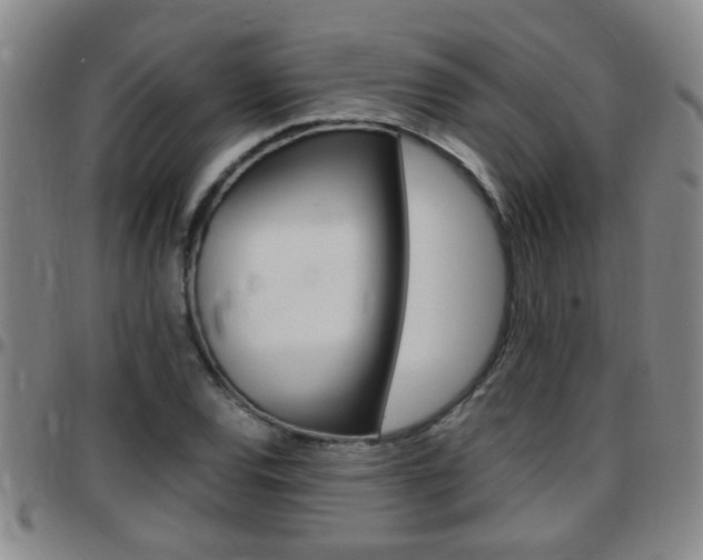 X0000097861120200803140850