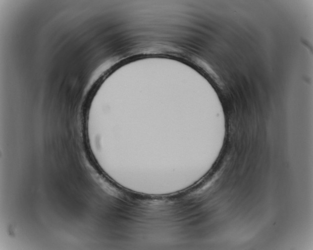 X0000097861122200803140850