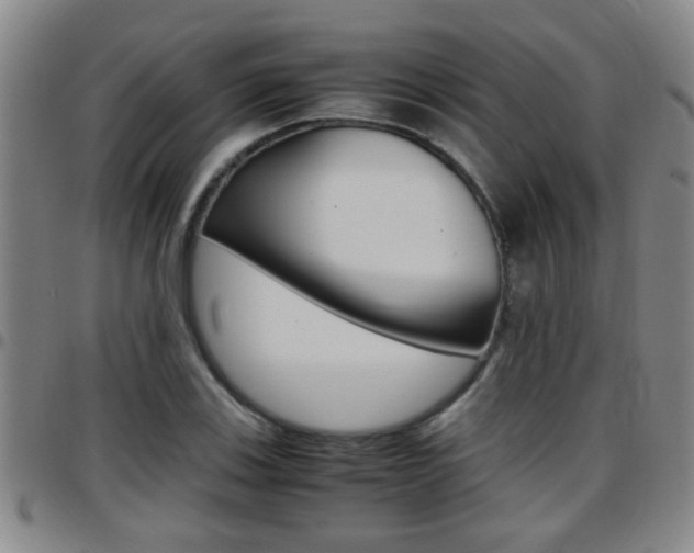 X0000097861123200803140850