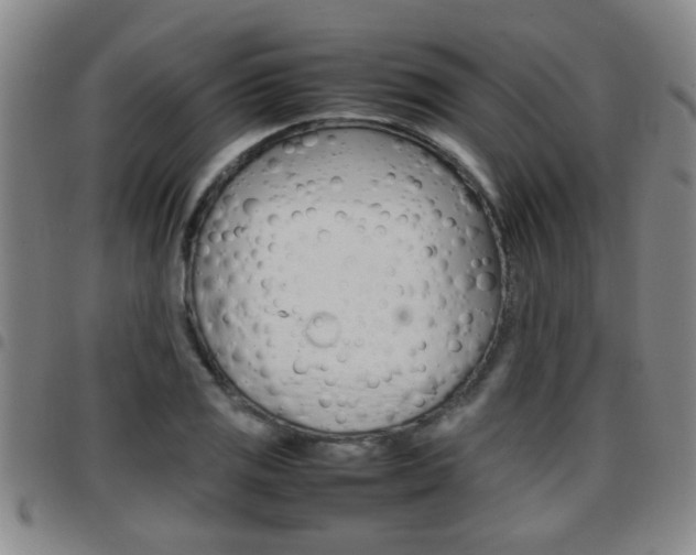 X0000097861125200803140850