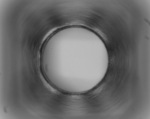 X0000097861126200803140850