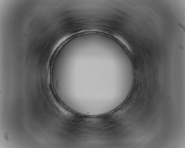 X0000097861127200803140850