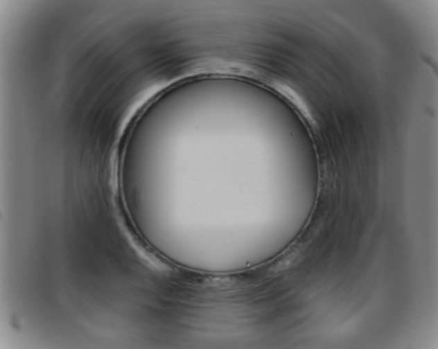 X0000097861128200803140850