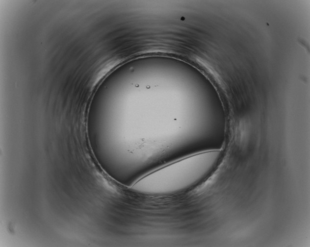X0000097861129200803140850