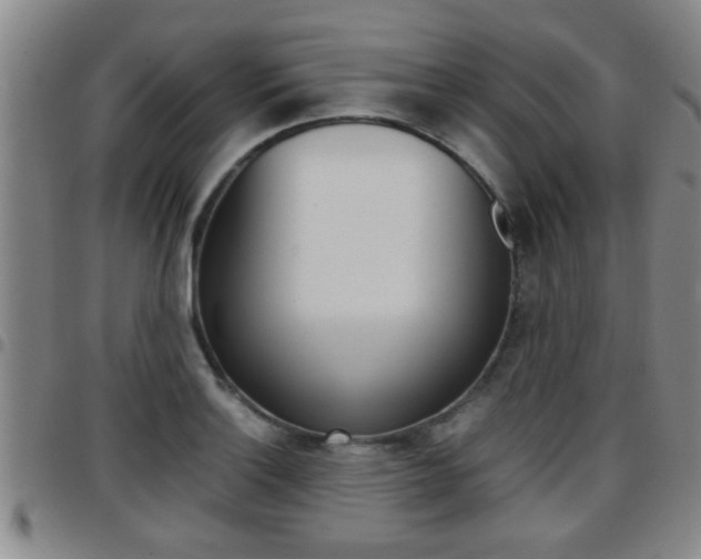 X0000097861132200803140850