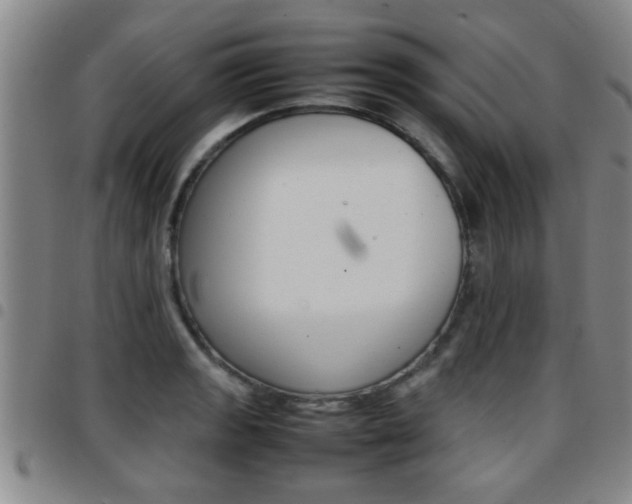 X0000097861133200803140850