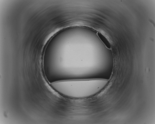 X0000097861134200803140850