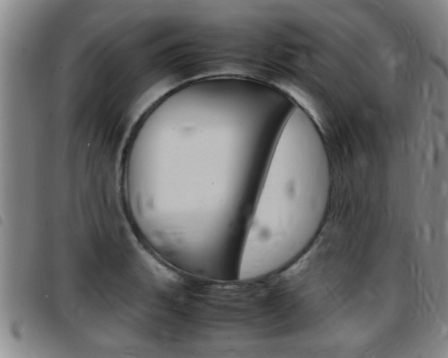 X0000097861135200803140850