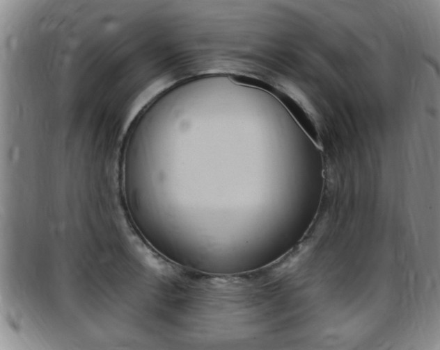 X0000097861138200803140850