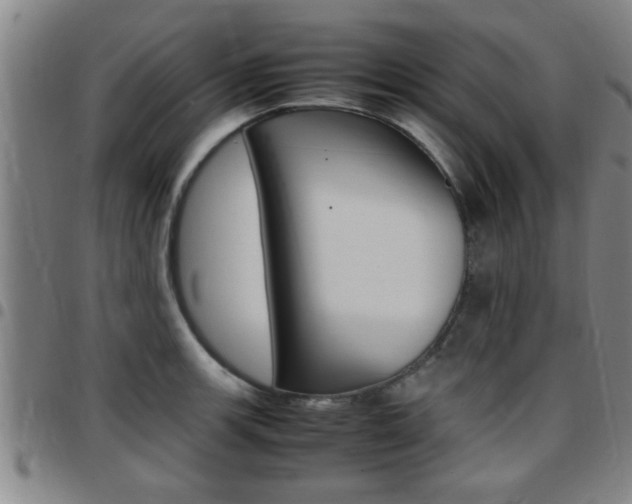 X0000097861139200803140851
