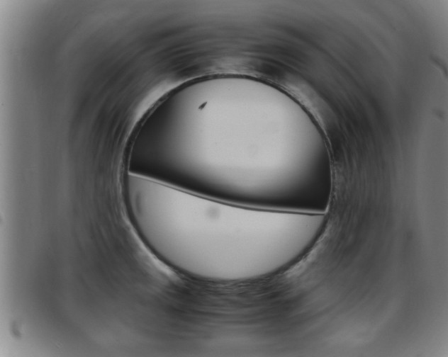 X0000097861141200803140851