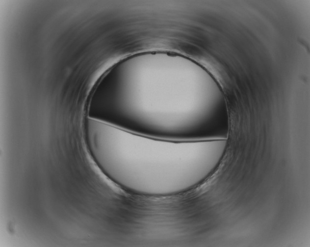 X0000097861142200803140851
