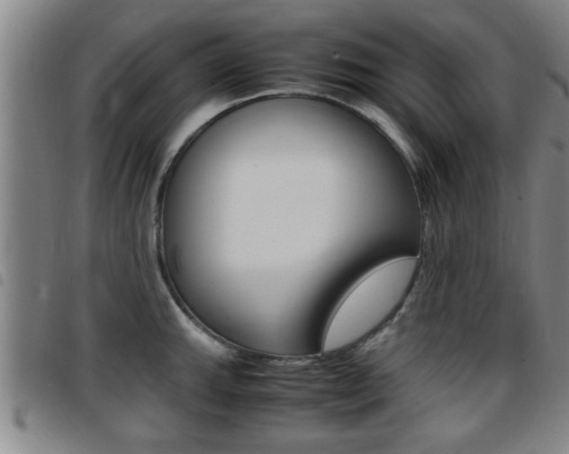 X0000097861143200803140851