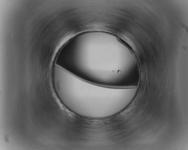 X0000097861144200803140851
