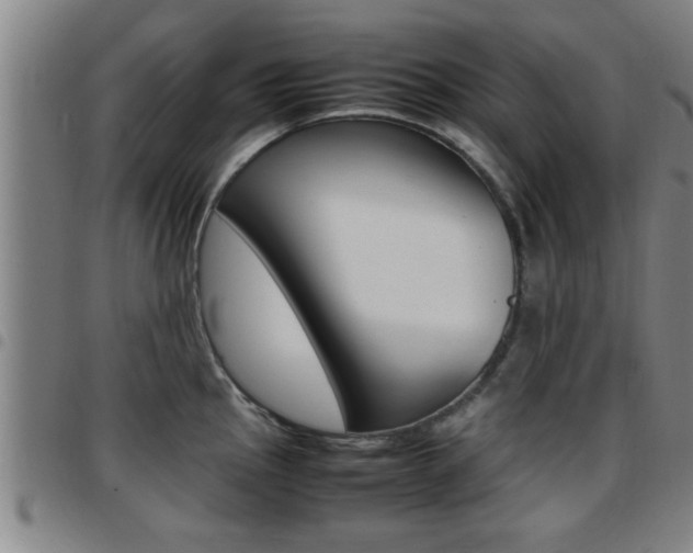 X0000097861145200803140851