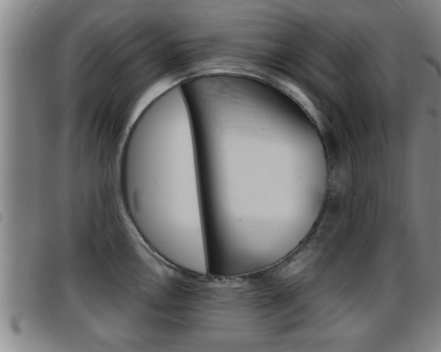 X0000097861146200803140851