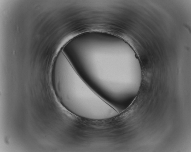X0000097861147200803140851