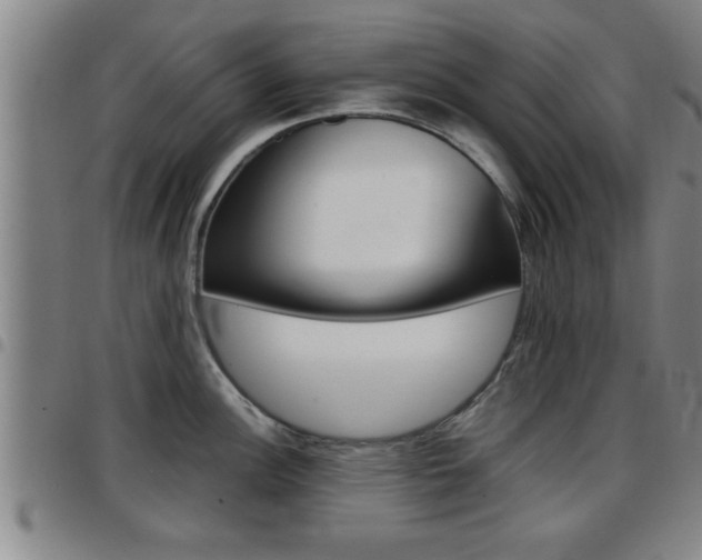 X0000097861148200803140851