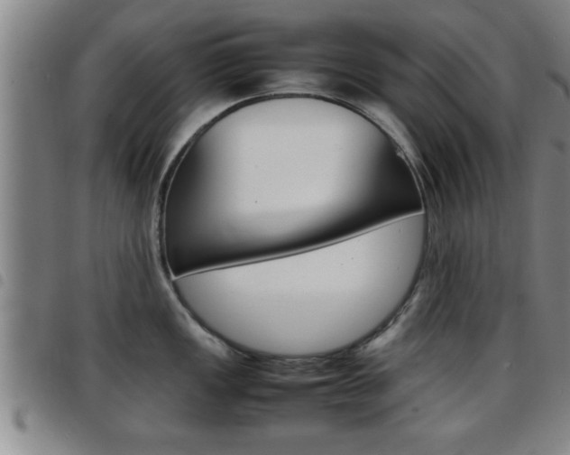 X0000097861149200803140851