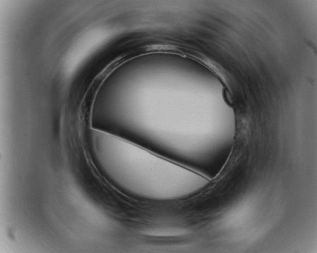 X0000097861151200803140851