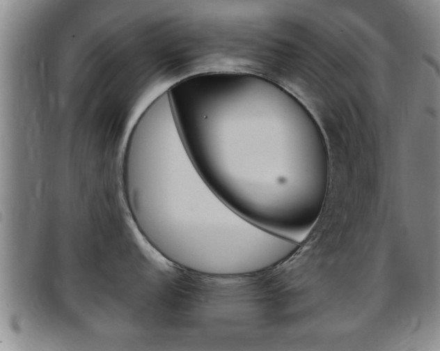X0000097861152200803140851