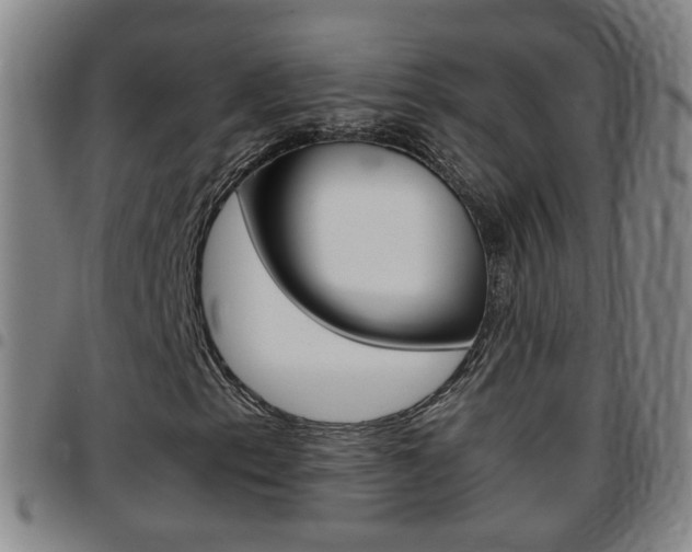 X0000097861153200803140850