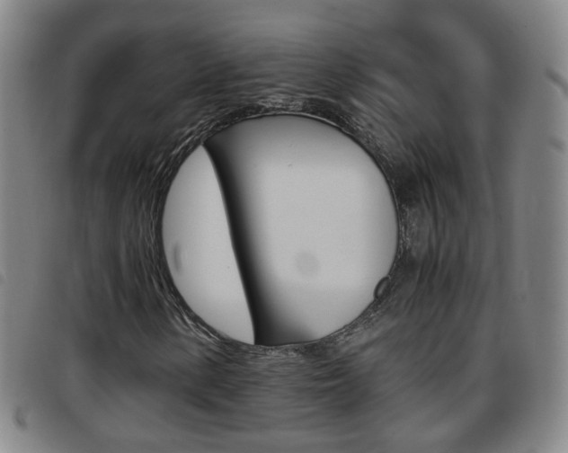 X0000097861154200803140850