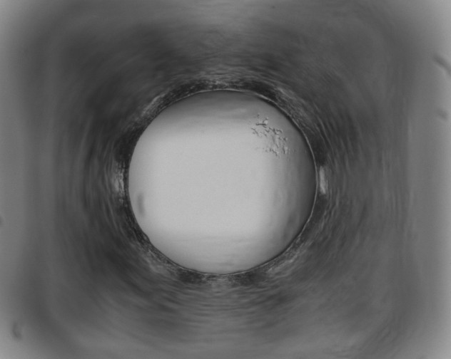 X0000097861155200803140850