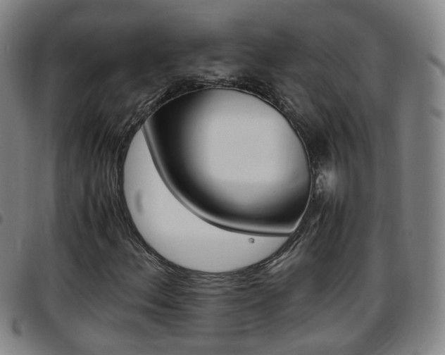 X0000097861156200803140850