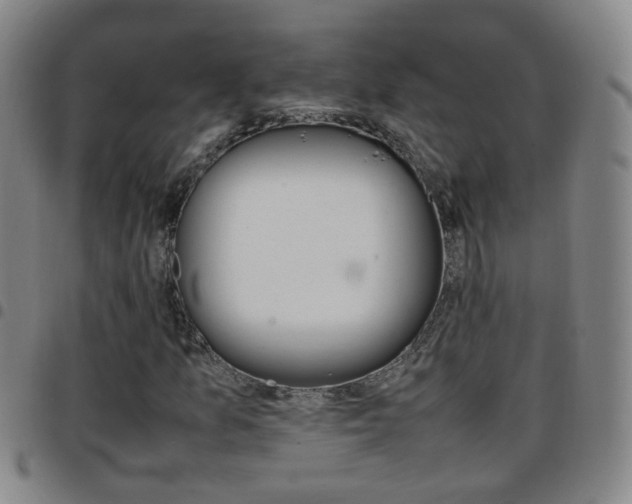 X0000097861157200803140850