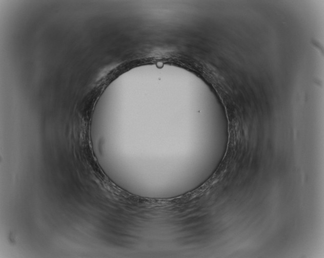 X0000097861158200803140850