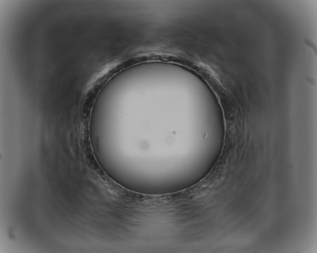 X0000097861159200803140850