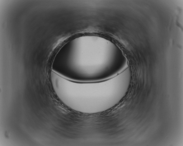X0000097861160200803140850