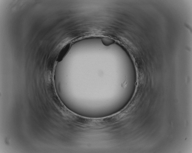 X0000097861161200803140850