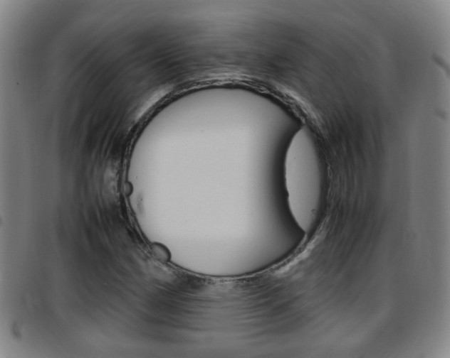 X0000097861162200803140850