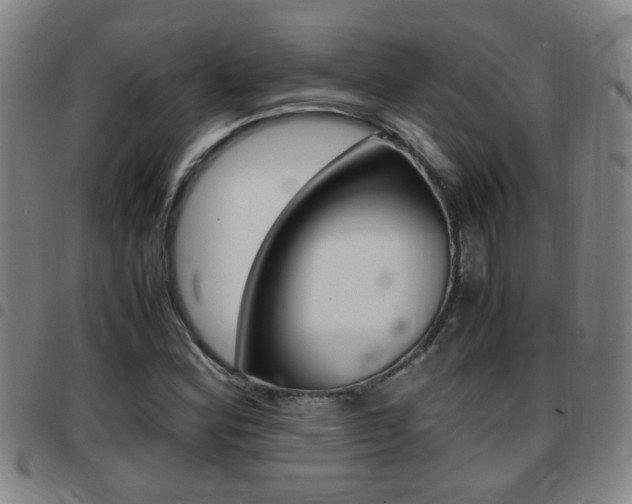 X0000097861164200803140850