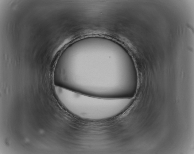 X0000097861165200803140850