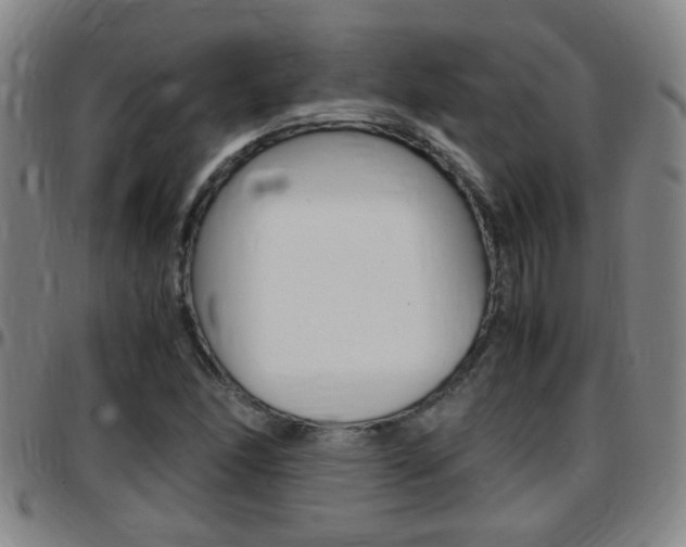 X0000097861166200803140850