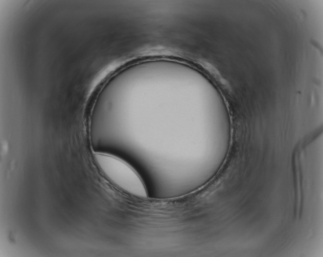 X0000097861167200803140850