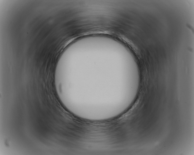 X0000097861169200803140850