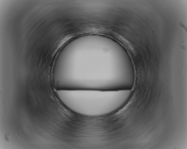 X0000097861170200803140850