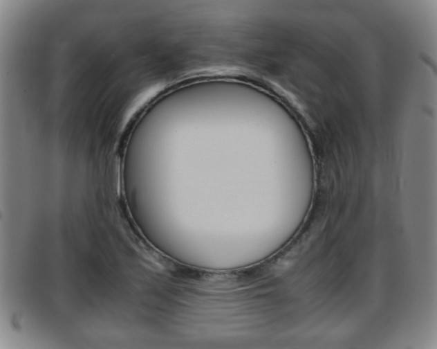 X0000097861171200803140850