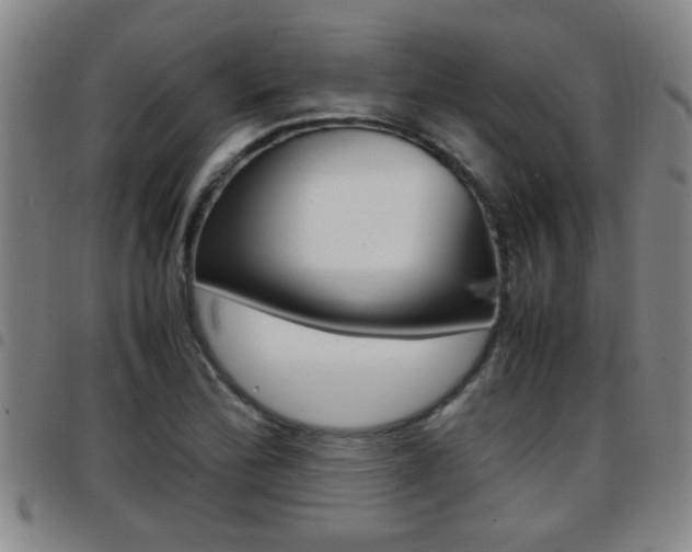 X0000097861172200803140850