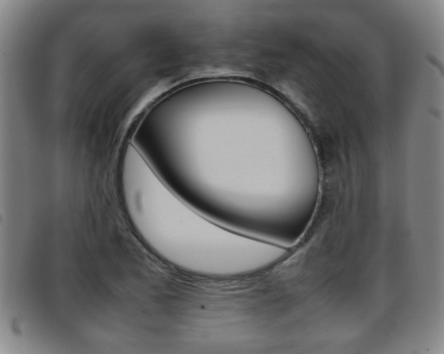 X0000097861173200803140850