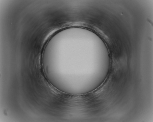 X0000097861174200803140850